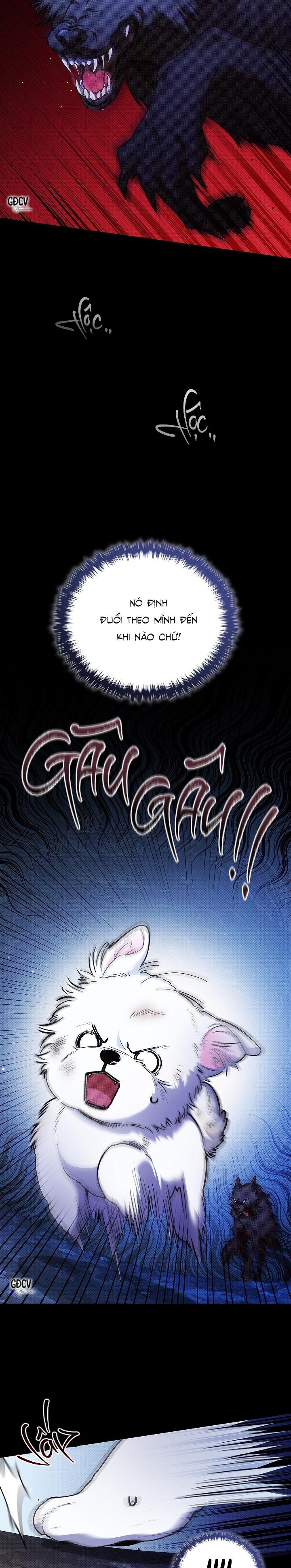 Đọc truyện ĐỪNG CHẠM VÀO CÚN CON CỦA TÔI - Chapter 1