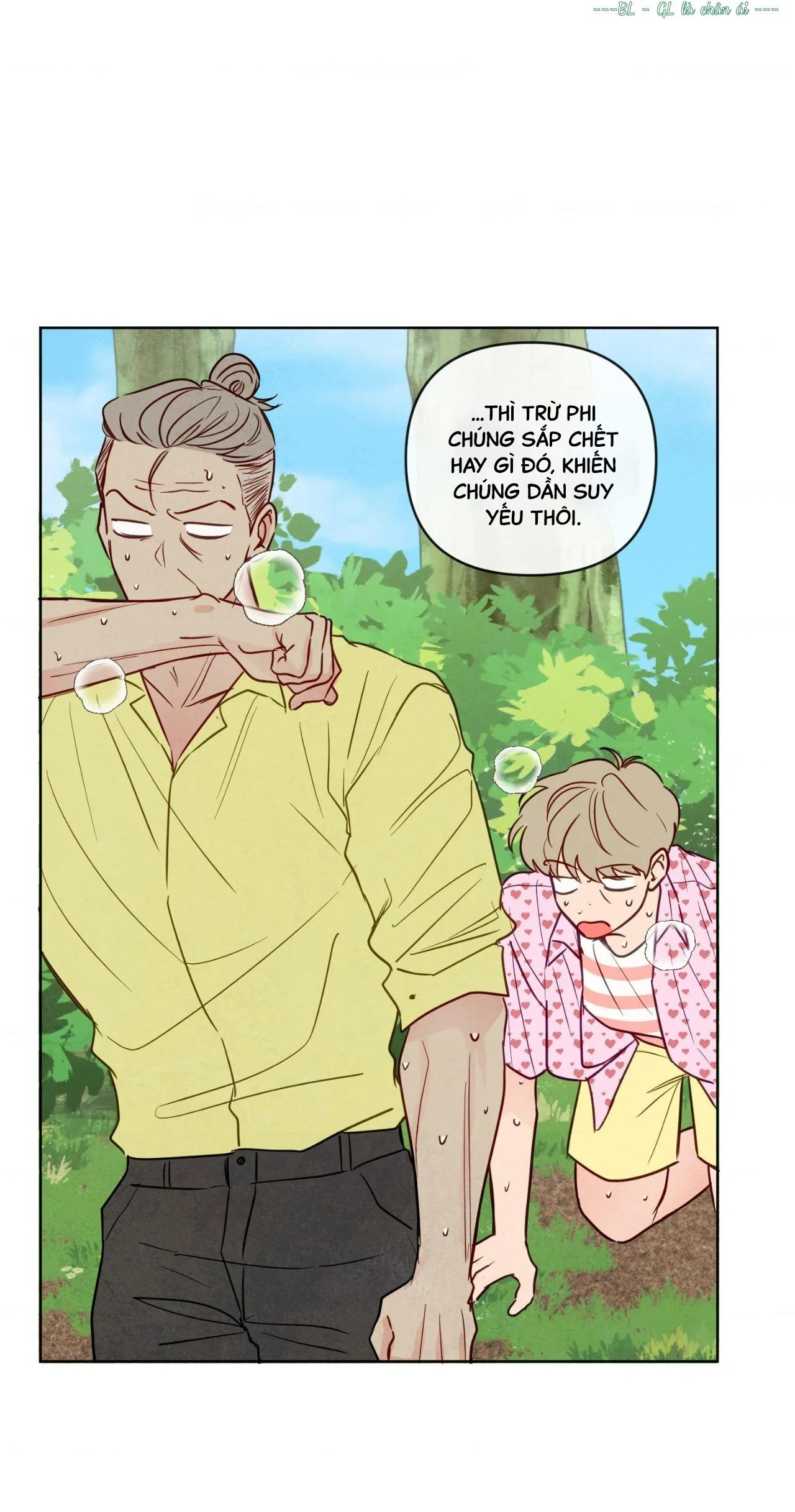 Đọc truyện Sự quyến rũ của Thần Rắn - Chapter 22