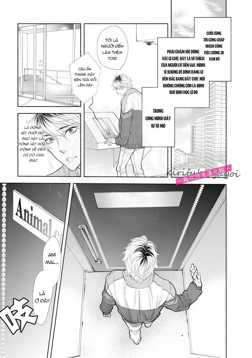 Đọc truyện Chục Cây Một Lỗ - Chapter 9