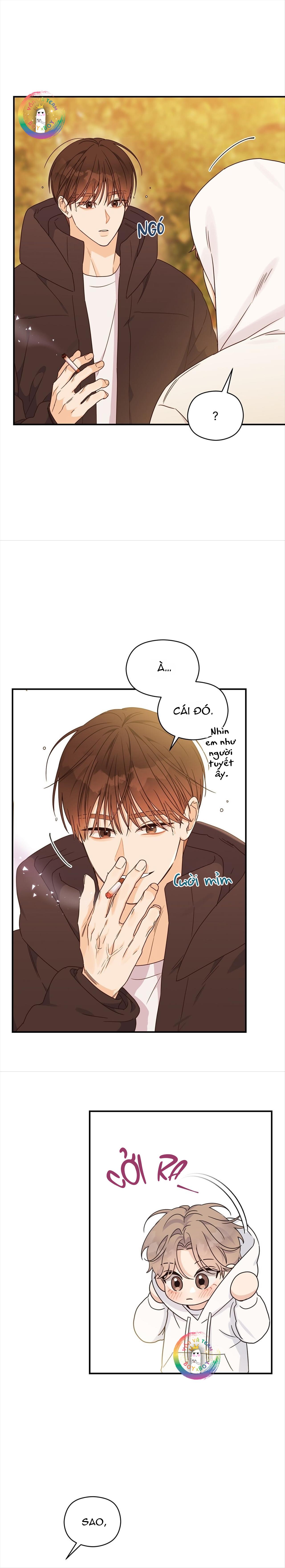 Đọc truyện ✿ Vết Thương Alpha ✿ - Chapter 8