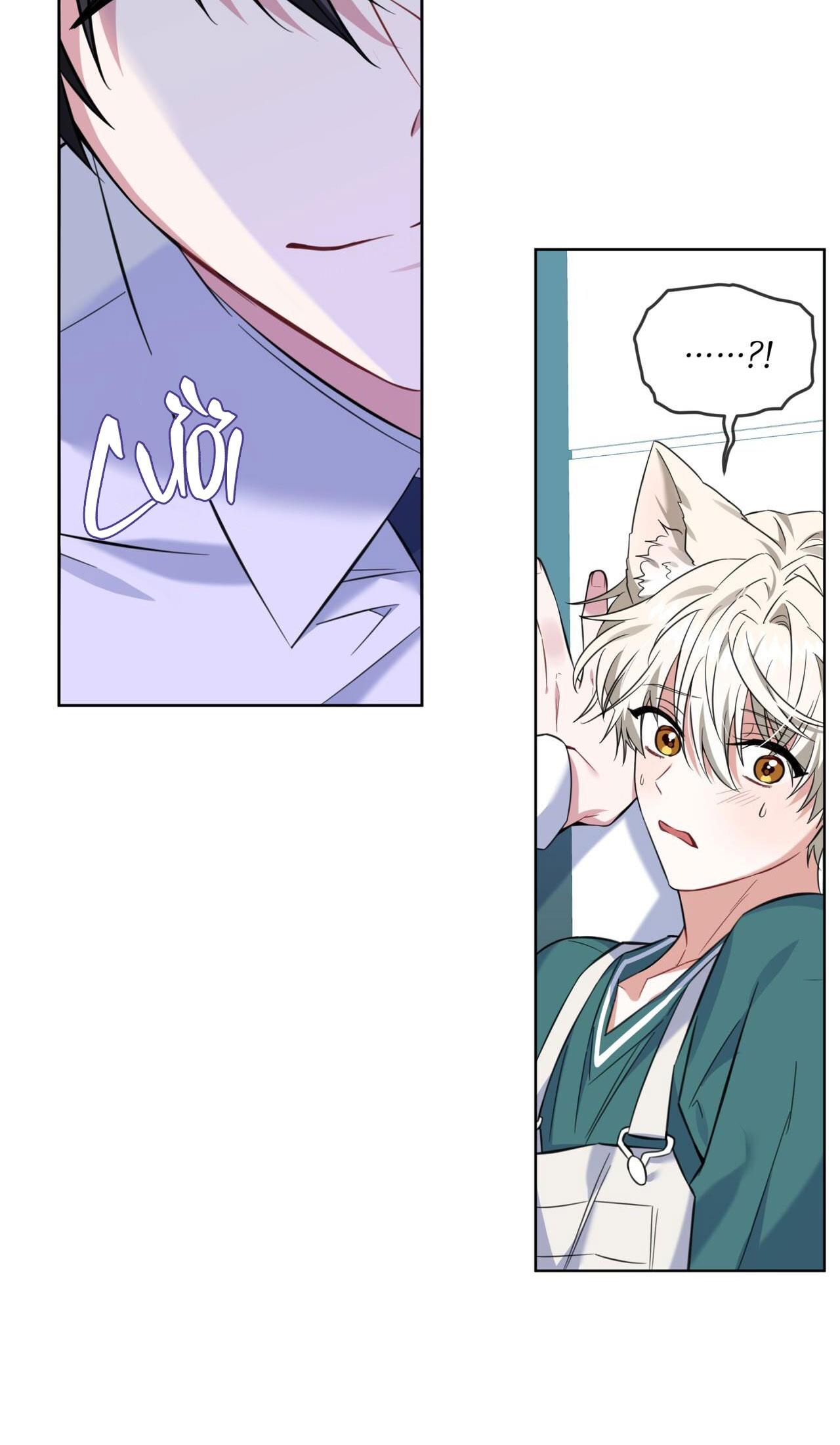 Đọc truyện NƯỚC UỐNG TÌNH YÊU CỦA CÁO PLIN - Chapter 3