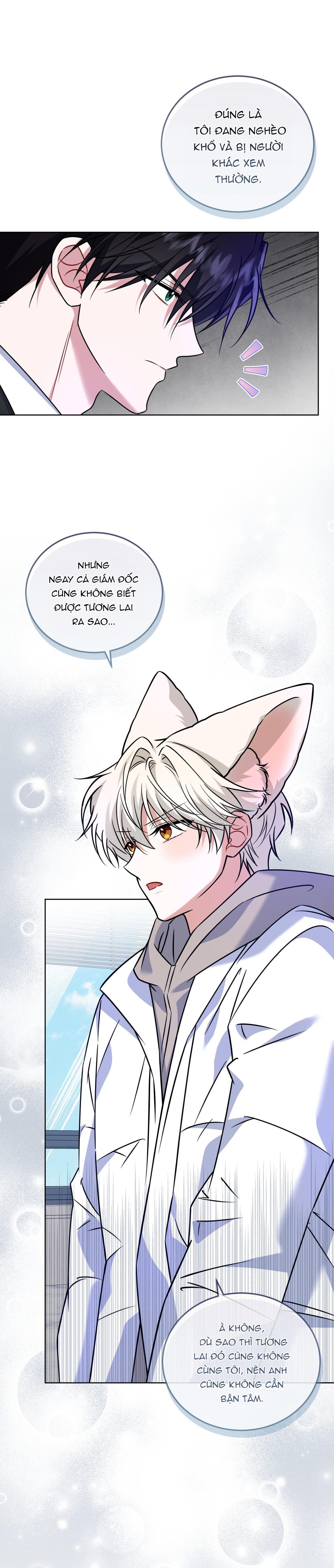 Đọc truyện NƯỚC UỐNG TÌNH YÊU CỦA CÁO PLIN - Chapter 29