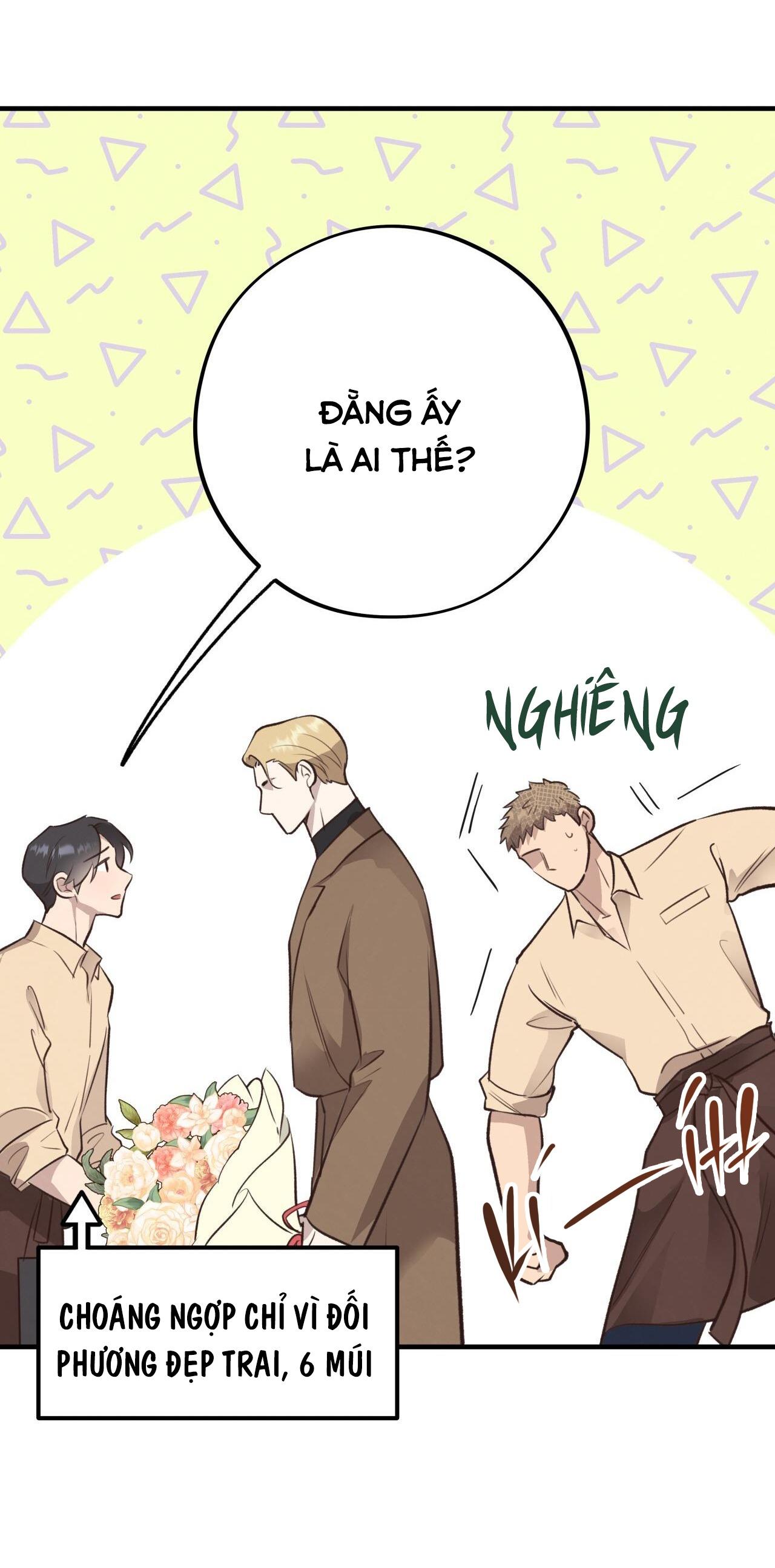 Đọc truyện MẬT GẤU - Chapter 36