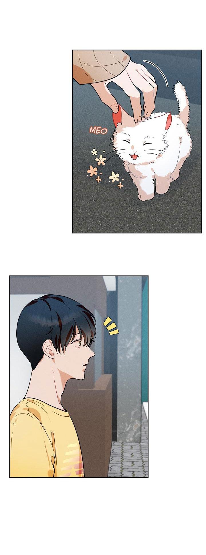 Đọc truyện Tố Cáo Sếp Tôi - Chapter 12