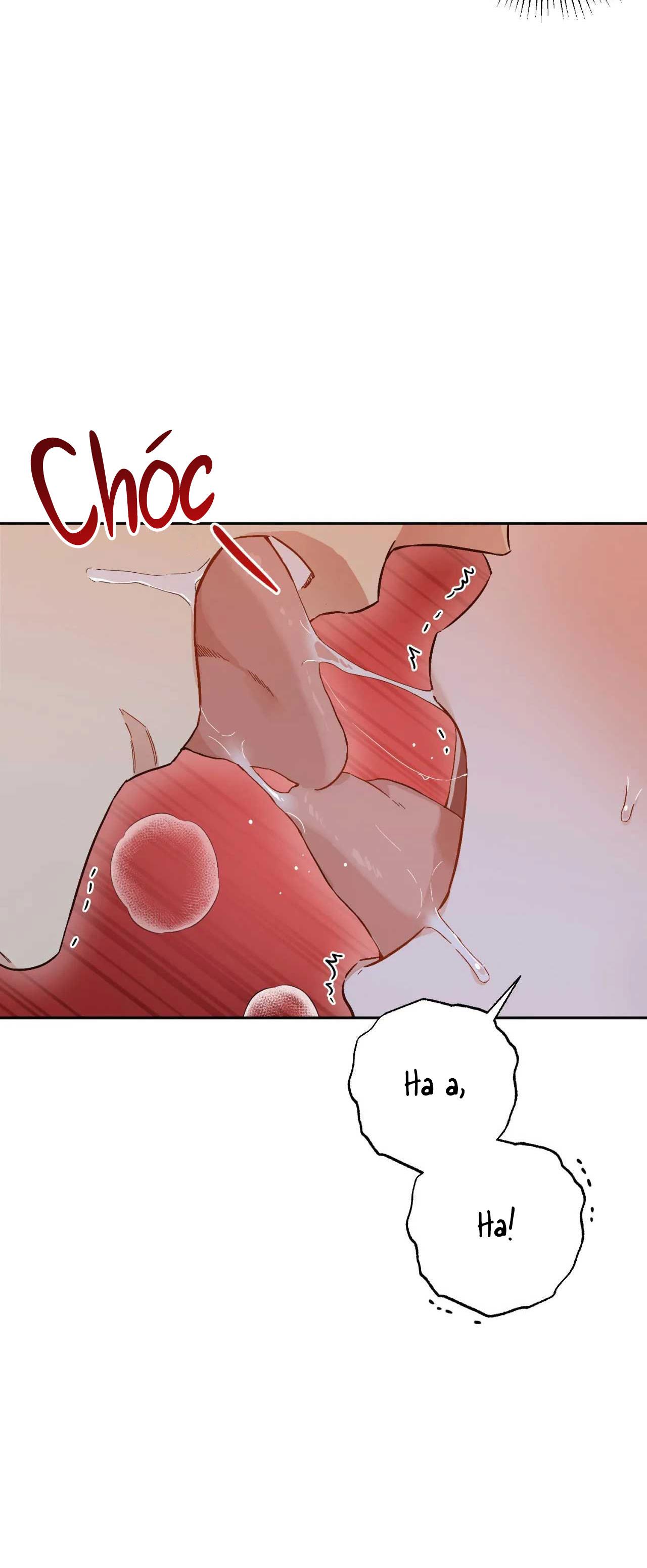 Đọc truyện VẬN MỆNH CỦA CẬU LÀ GÌ? - Chapter 2