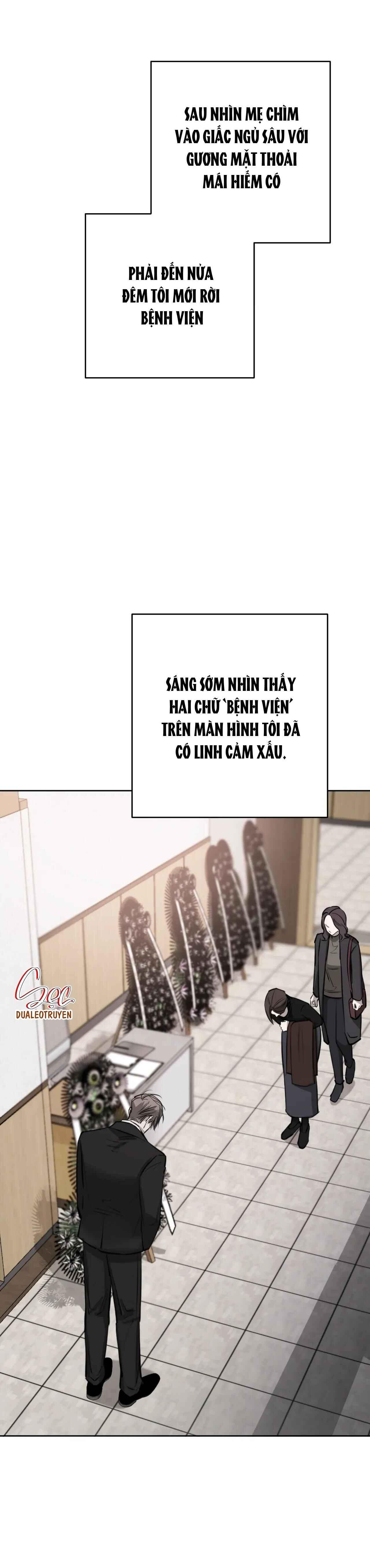 Đọc truyện GIỮA TÌNH CỜ VÀ ĐỊNH MỆNH - Chapter 66