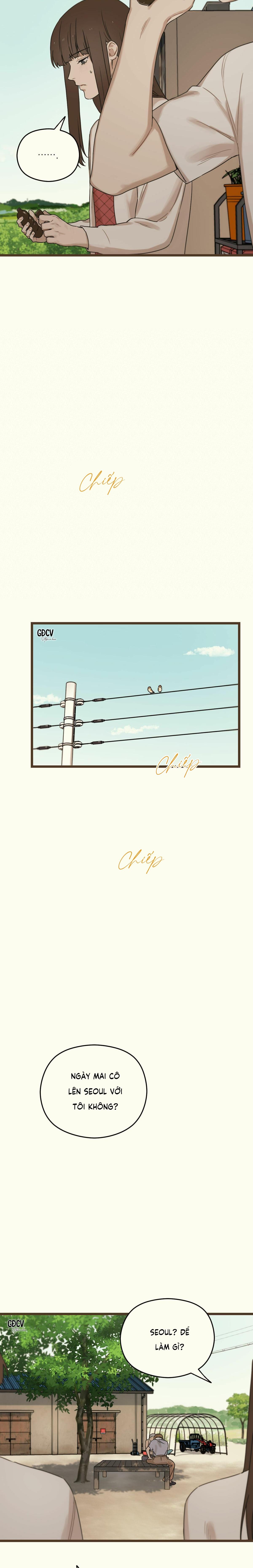 Đọc truyện TRÙNG PHÙNG - Chapter 15