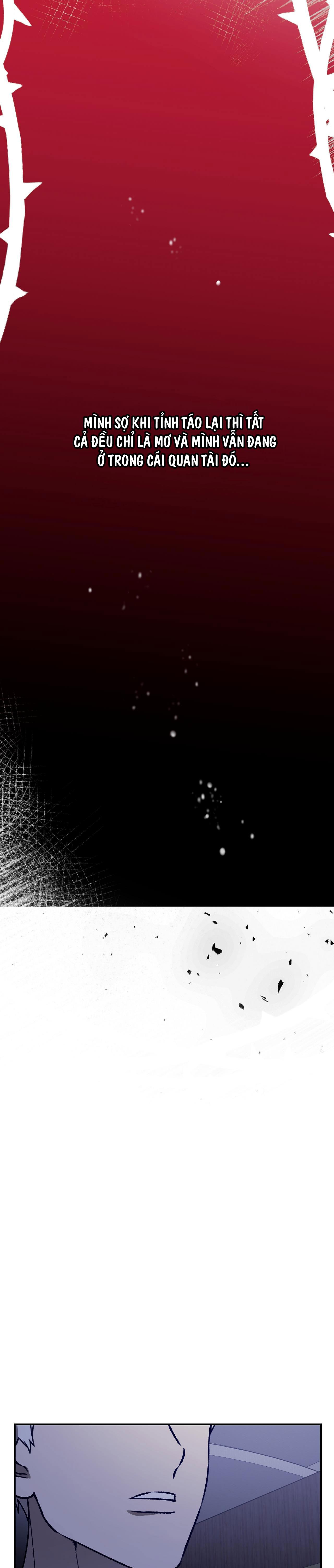 Đọc truyện SÓI TRONG LỒNG - Chapter 28