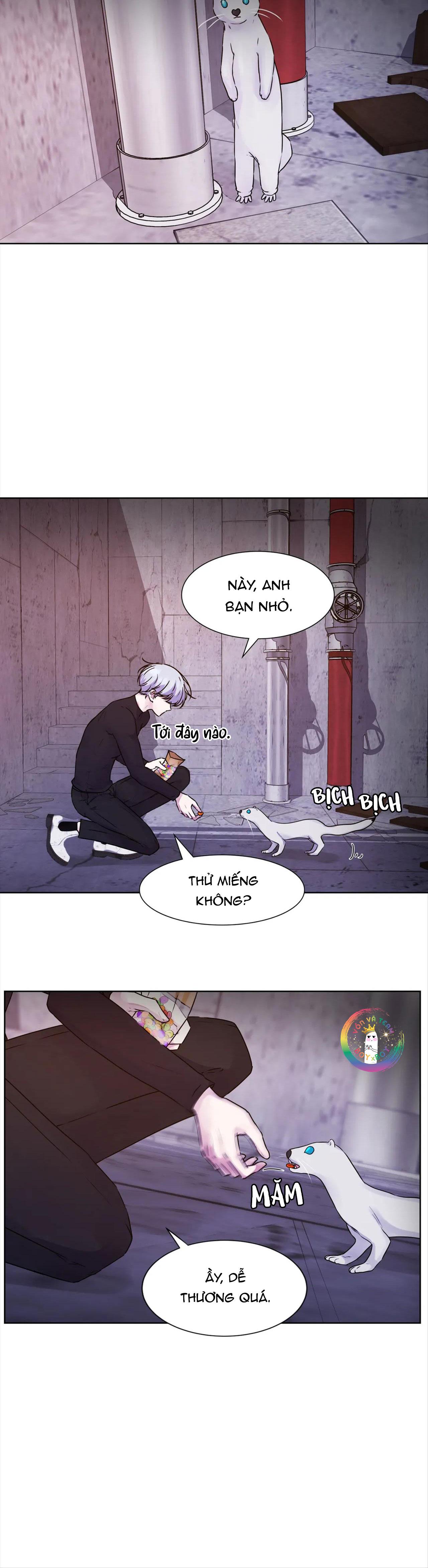 Đọc truyện (END) Guiding Light - Chapter 11