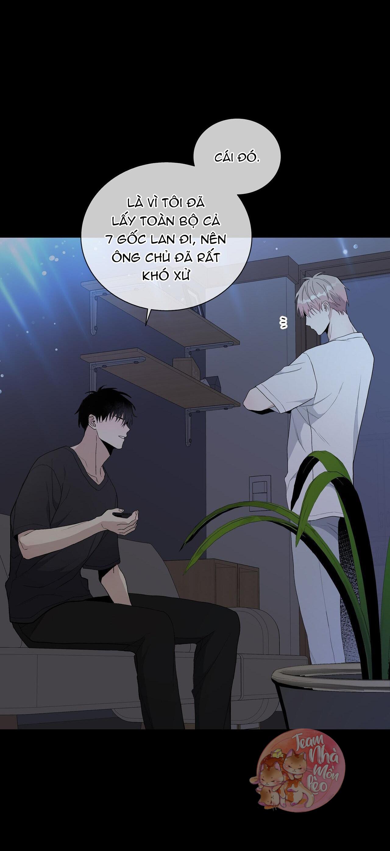 Đọc truyện BLAZE OUT - Chapter 14
