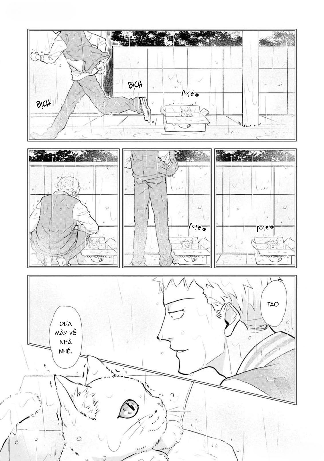 Đọc truyện Chú mèo đẹp trai muốn được Haruta nuôi dưỡng - Chapter 5