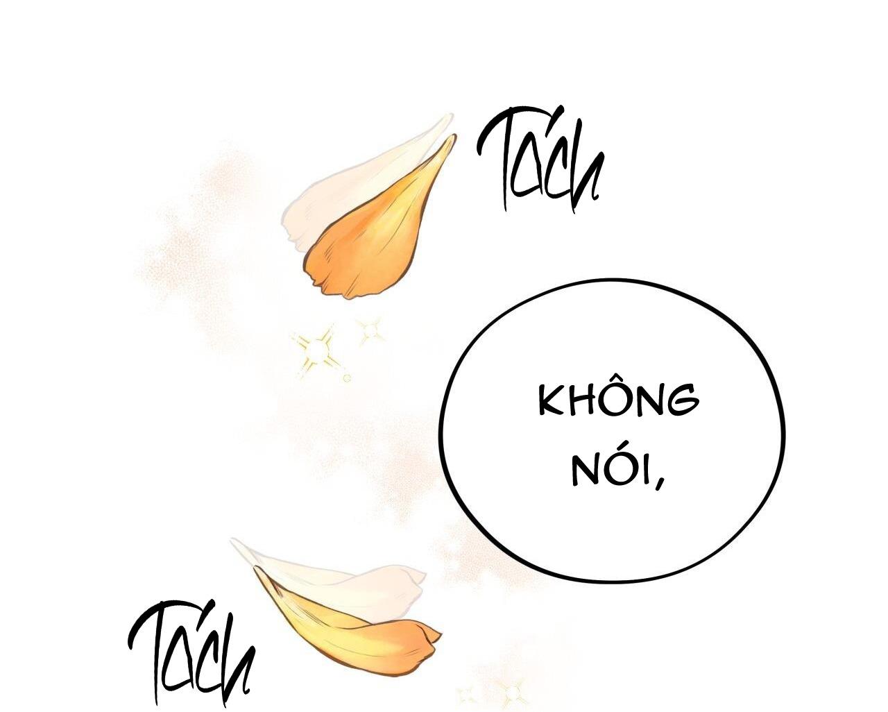 Đọc truyện HONEY BEAR - Chapter 31