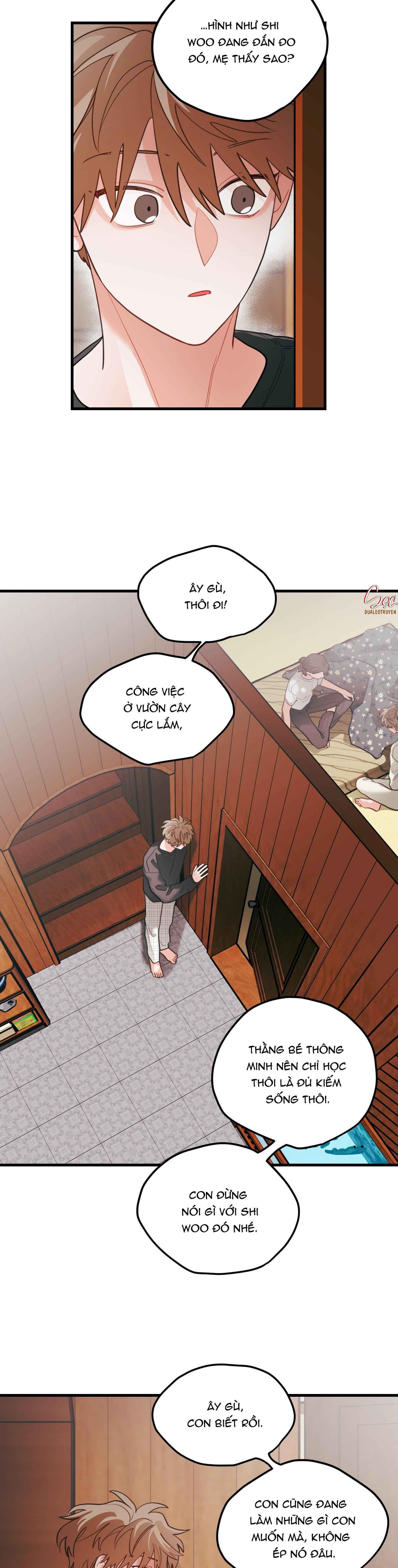 Đọc truyện CHUYỆN TÌNH HOA LÊ NỞ - Chapter 74