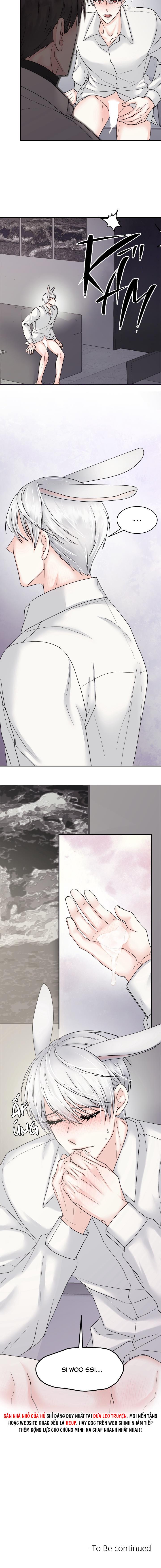 Đọc truyện ĐÂY LÀ CHÚ THỎ MÀ BẠN (KHÔNG) ĐÃ ĐẶT HÀNG - Chapter 3