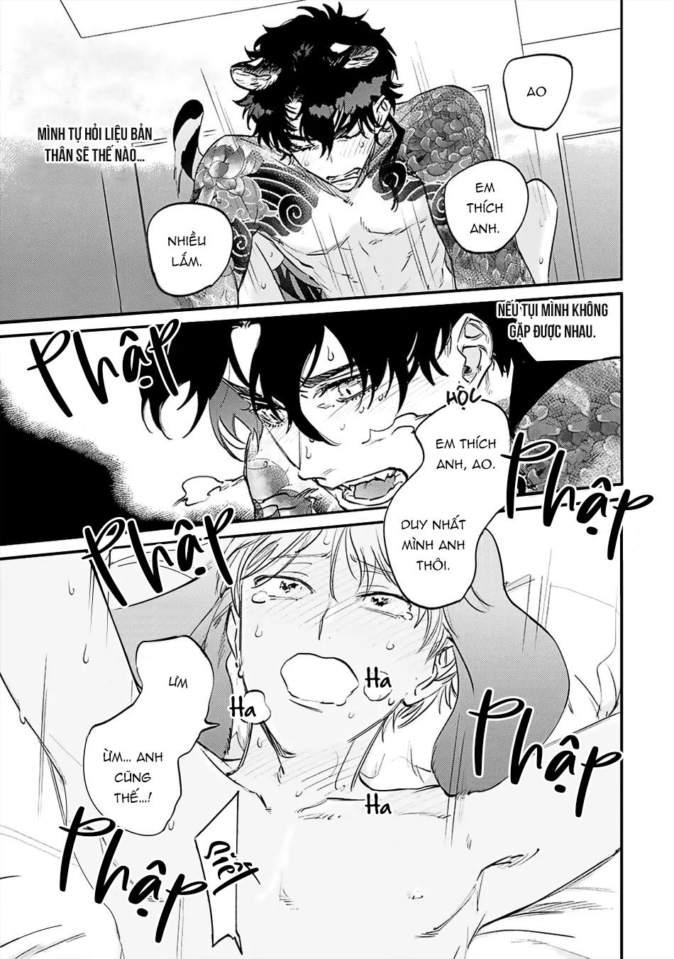 Đọc truyện Thỏ cưng của Hổ siêu ngầu - Chapter 6