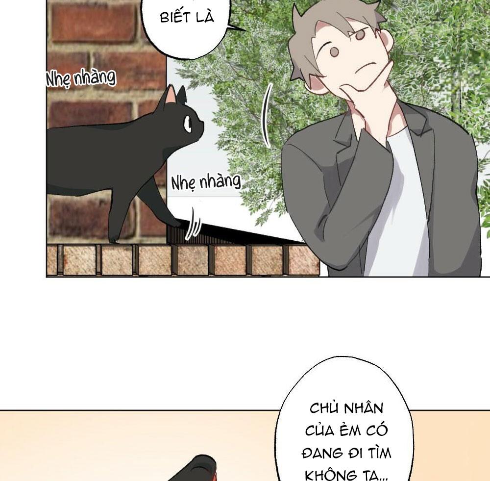 Đọc truyện TUYỂN TẬP DÚ BỰ - Chapter 54