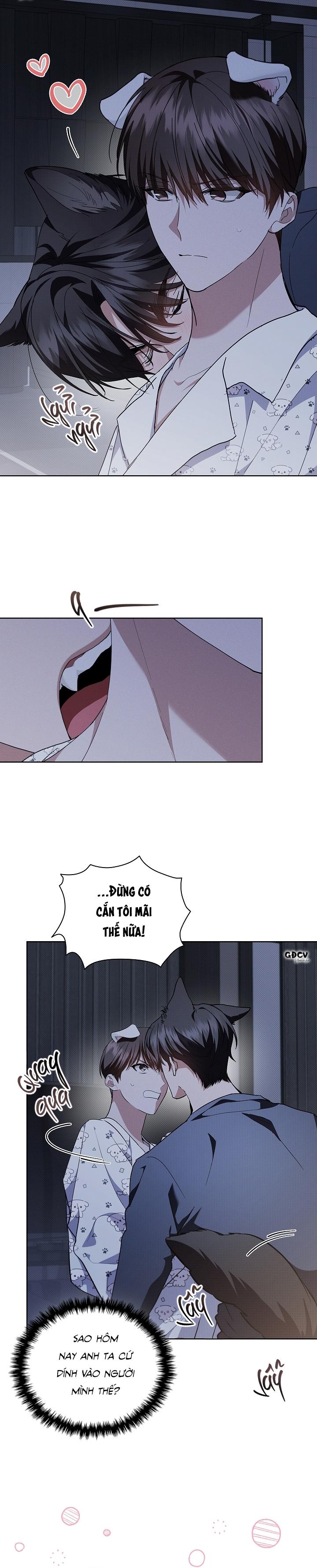 Đọc truyện ĐỪNG CHẠM VÀO CÚN CON CỦA TÔI - Chapter 18