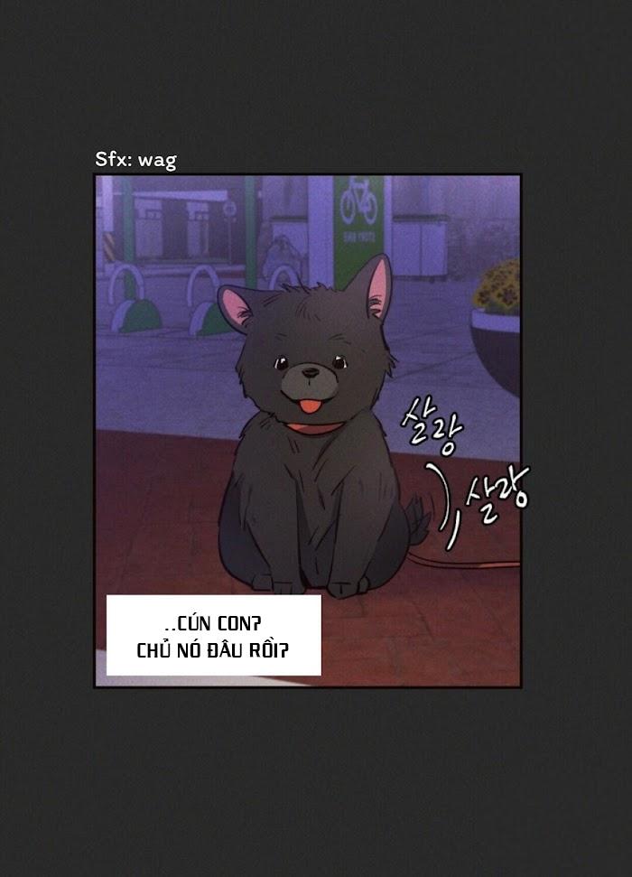 Đọc truyện Mưa Giông - Chapter 15