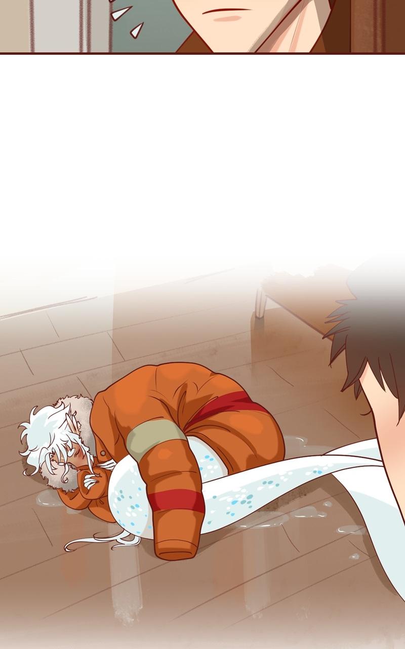 Đọc truyện BAILIN AND LIYUN ( NEW SS ) - Chapter 36