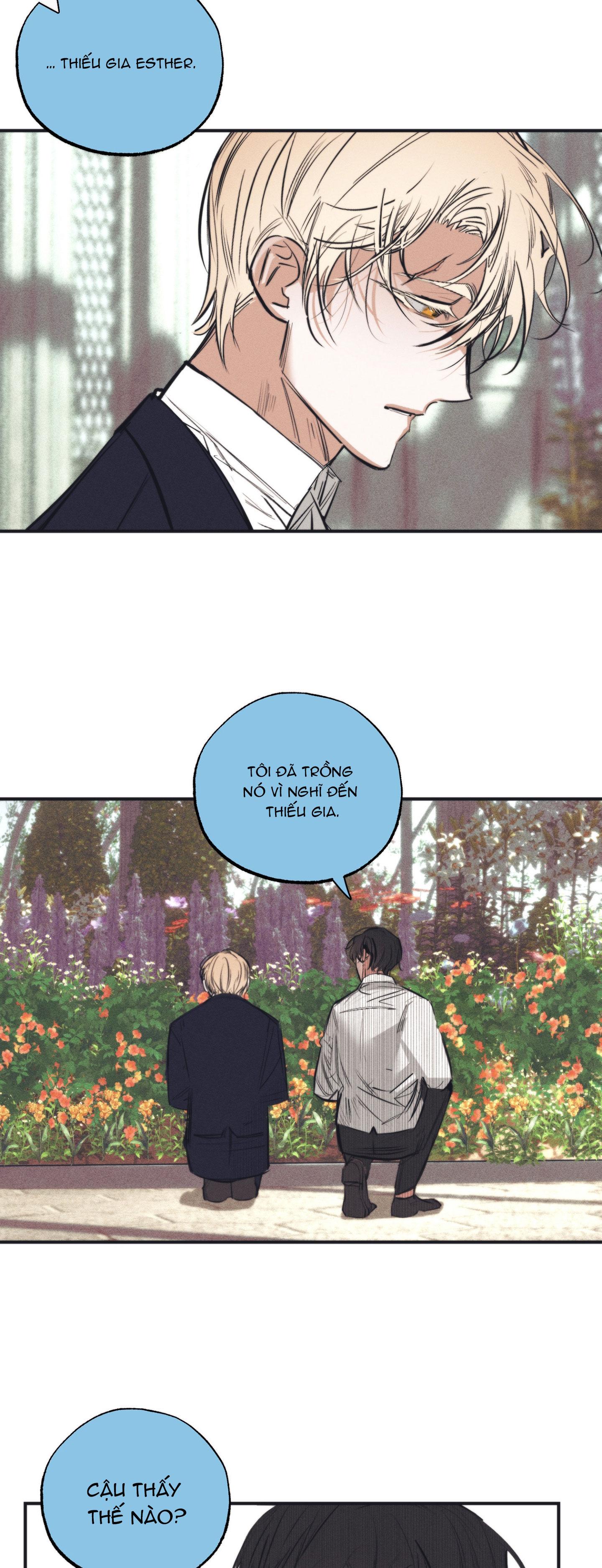 Đọc truyện VƯỜN HOA CỦA ESTHER - Chapter 4