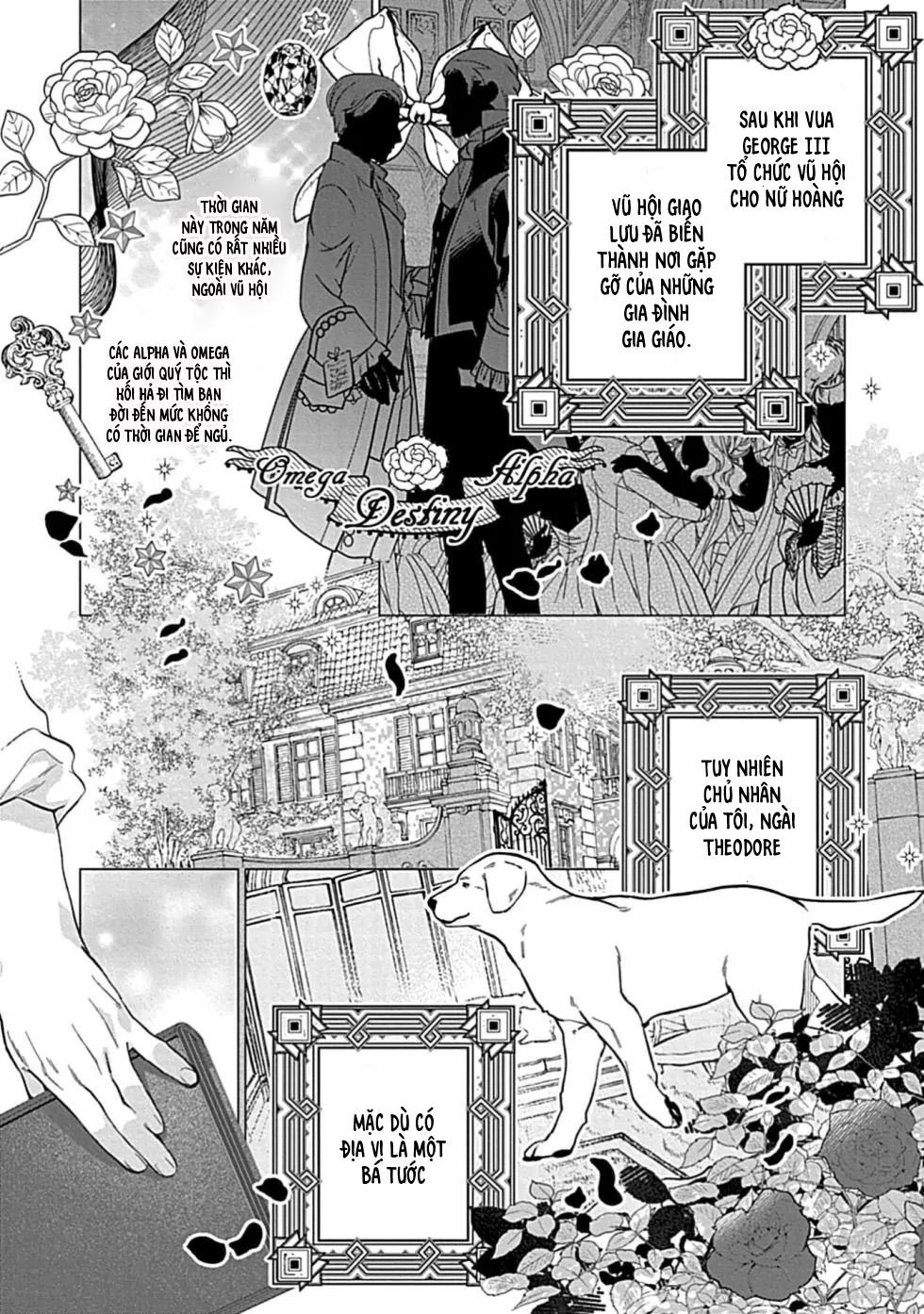 Đọc truyện Đêm Định Mệnh Của Ngài Bá Tước - Chapter 1