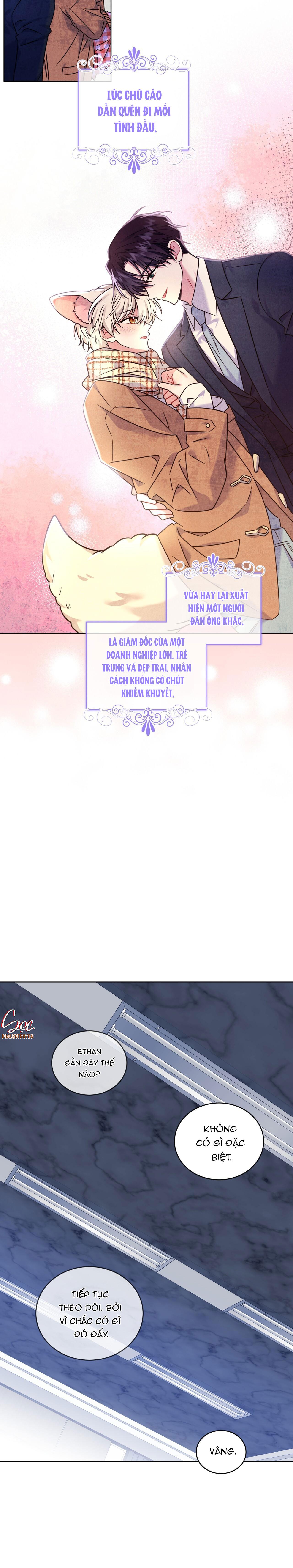 Đọc truyện NƯỚC UỐNG TÌNH YÊU CỦA CÁO PLIN - Chapter 12