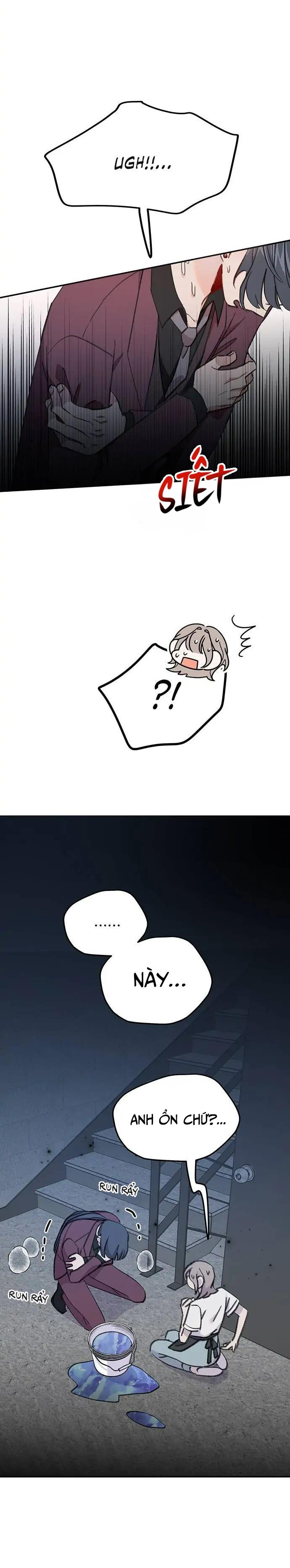 Đọc truyện Chàng tiên cá tôi yêu - Chapter 1