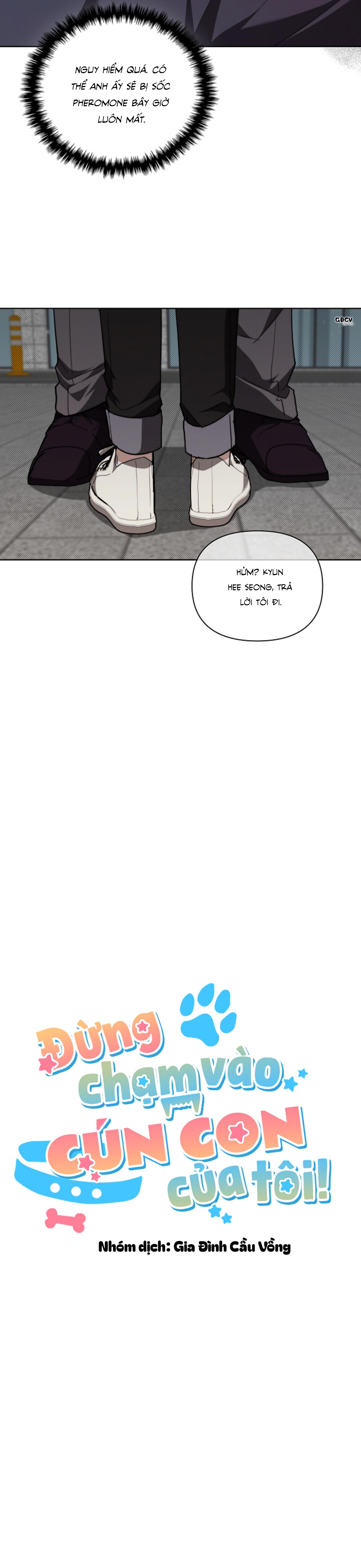 Đọc truyện ĐỪNG CHẠM VÀO CÚN CON CỦA TÔI - Chapter 24