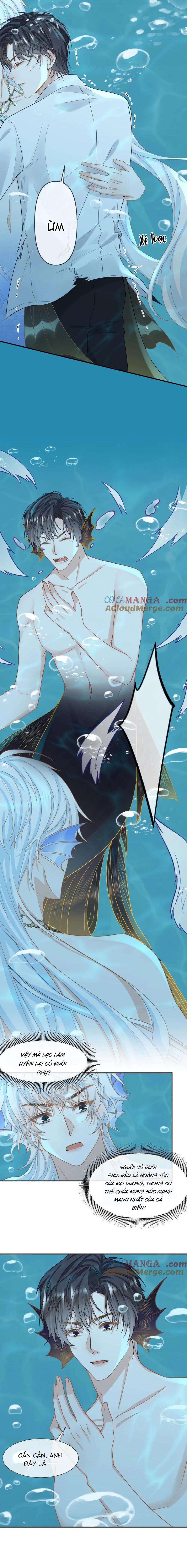 Đọc truyện Khát Vọng Ngọt Ngào - Chapter 162