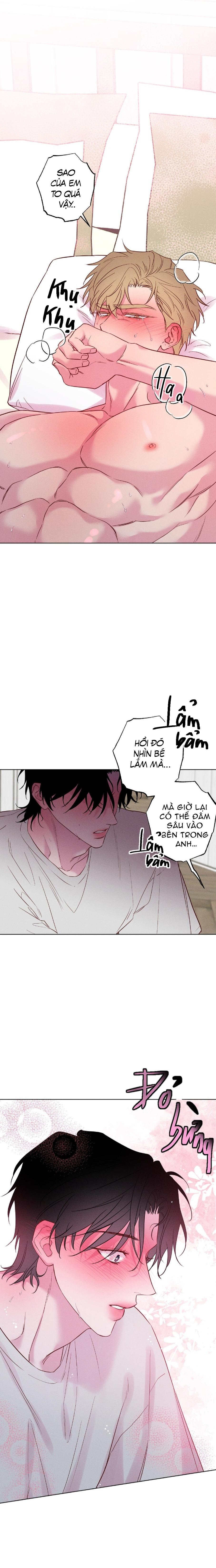 Đọc truyện SÓNG ÔM BỜ CÁT - Chapter 23