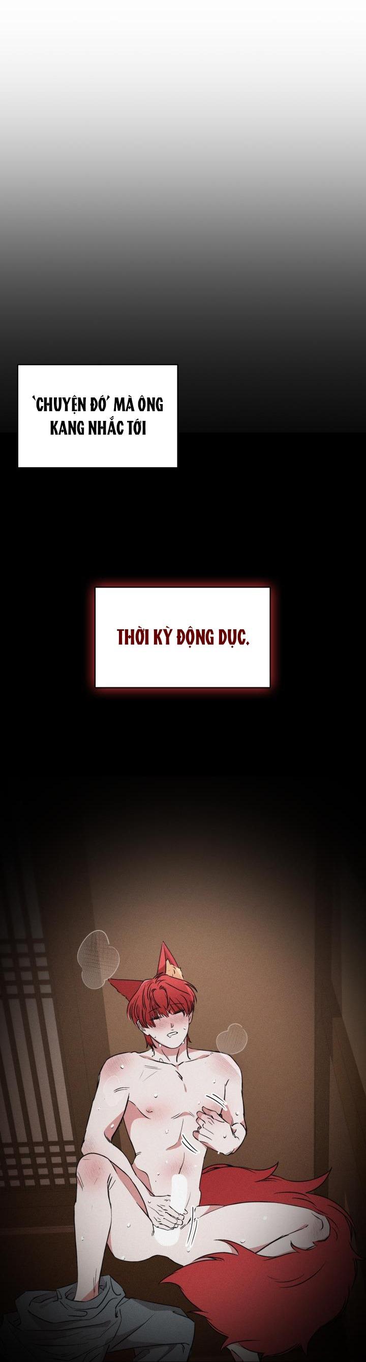 Đọc truyện SĂN CÁO - Chapter 3