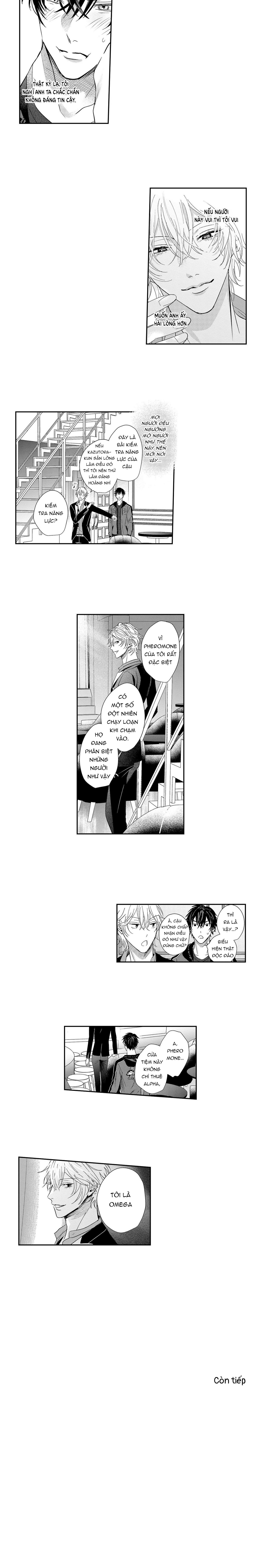 Đọc truyện Nữ hoàng Omega hoa lệ - Chapter 2