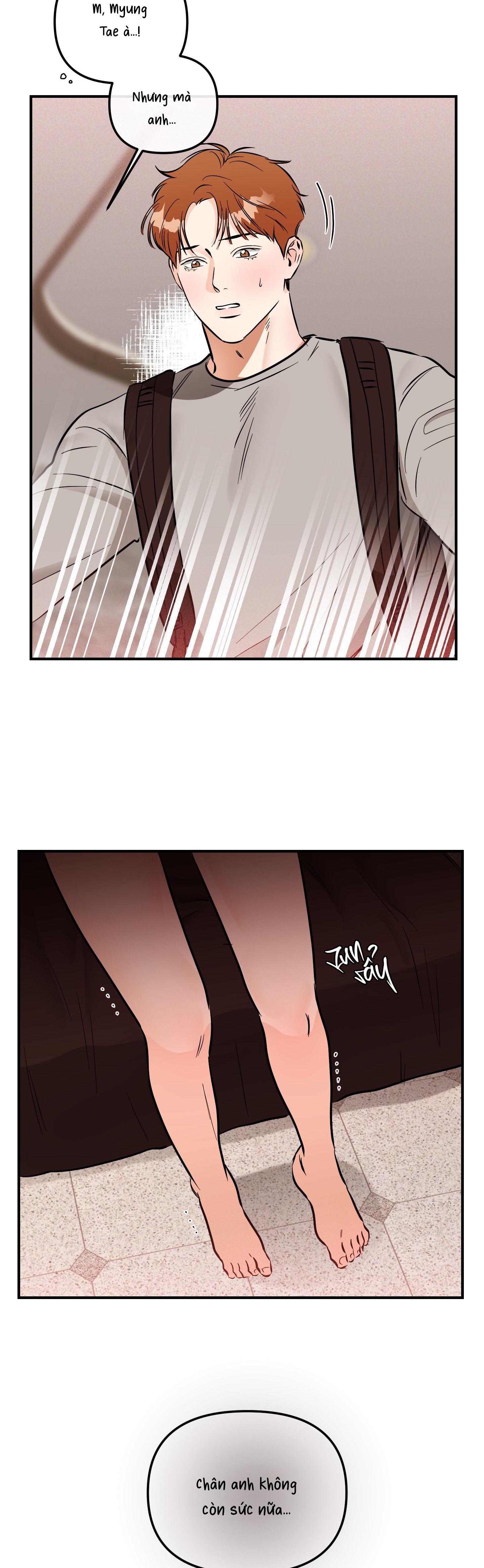 Đọc truyện CÁ MINH THÁI KHÔ QUẮT RỒI! - Chapter 55