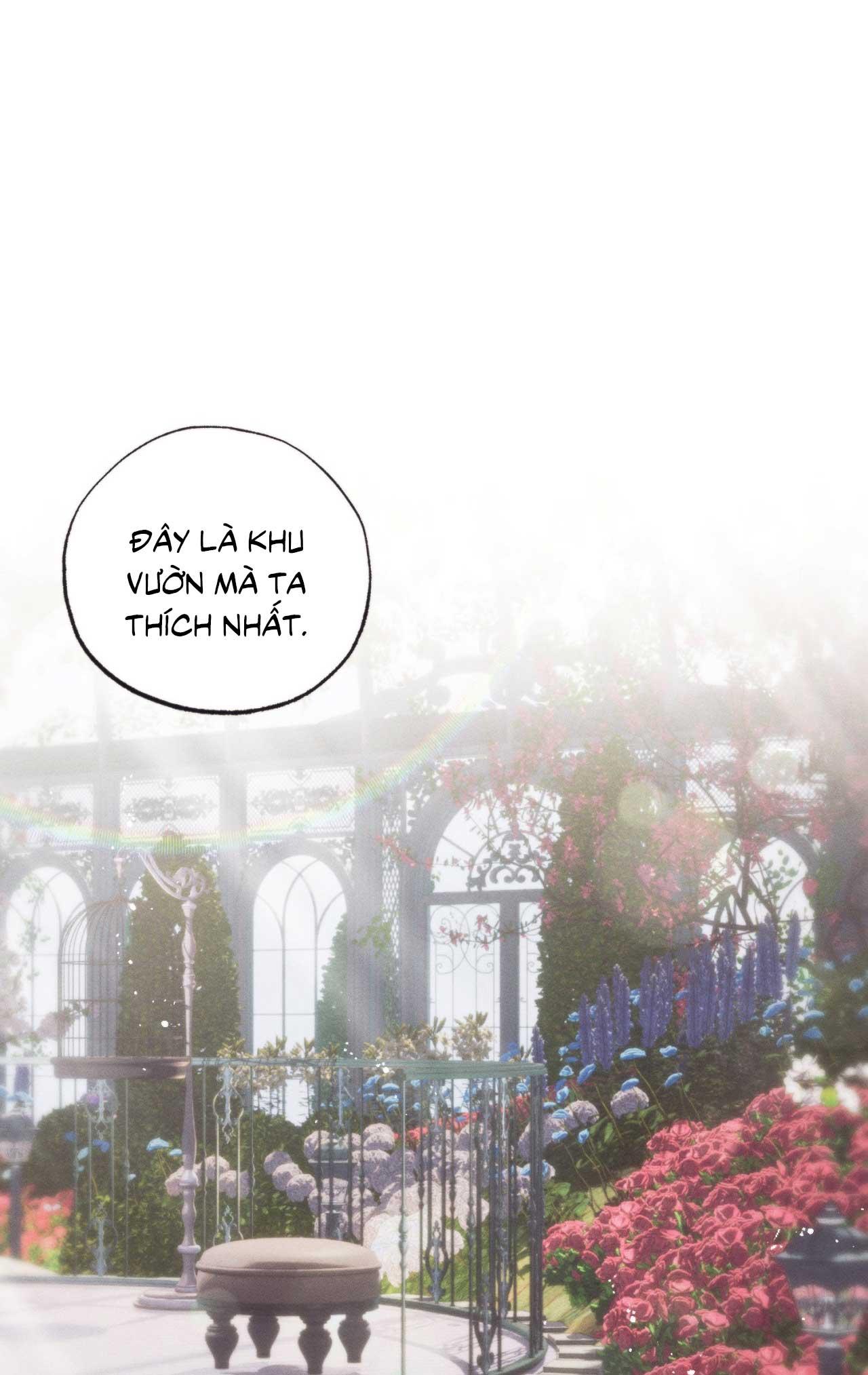 Đọc truyện KHU VƯỜN CỦA ESTHER - Chapter 2