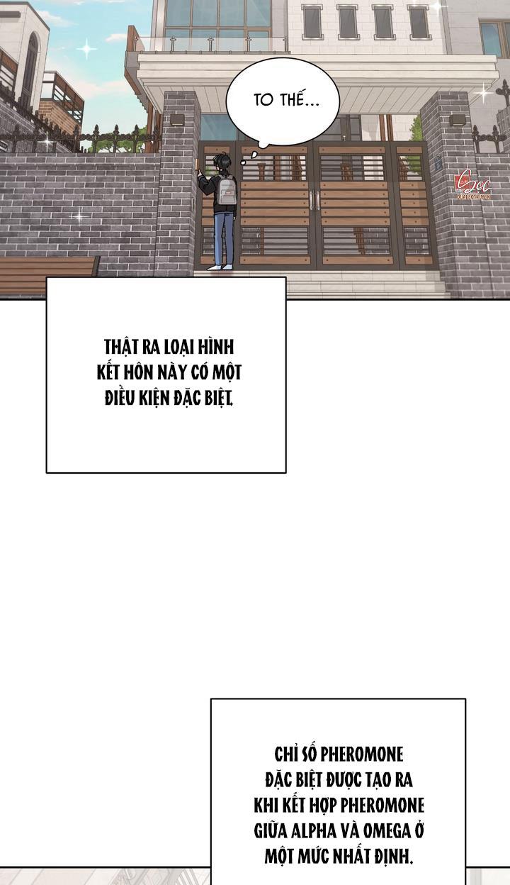 Đọc truyện ĐẶC QUYỀN CHO CẶP ĐÔI MỚI CƯỚI - Chapter 2