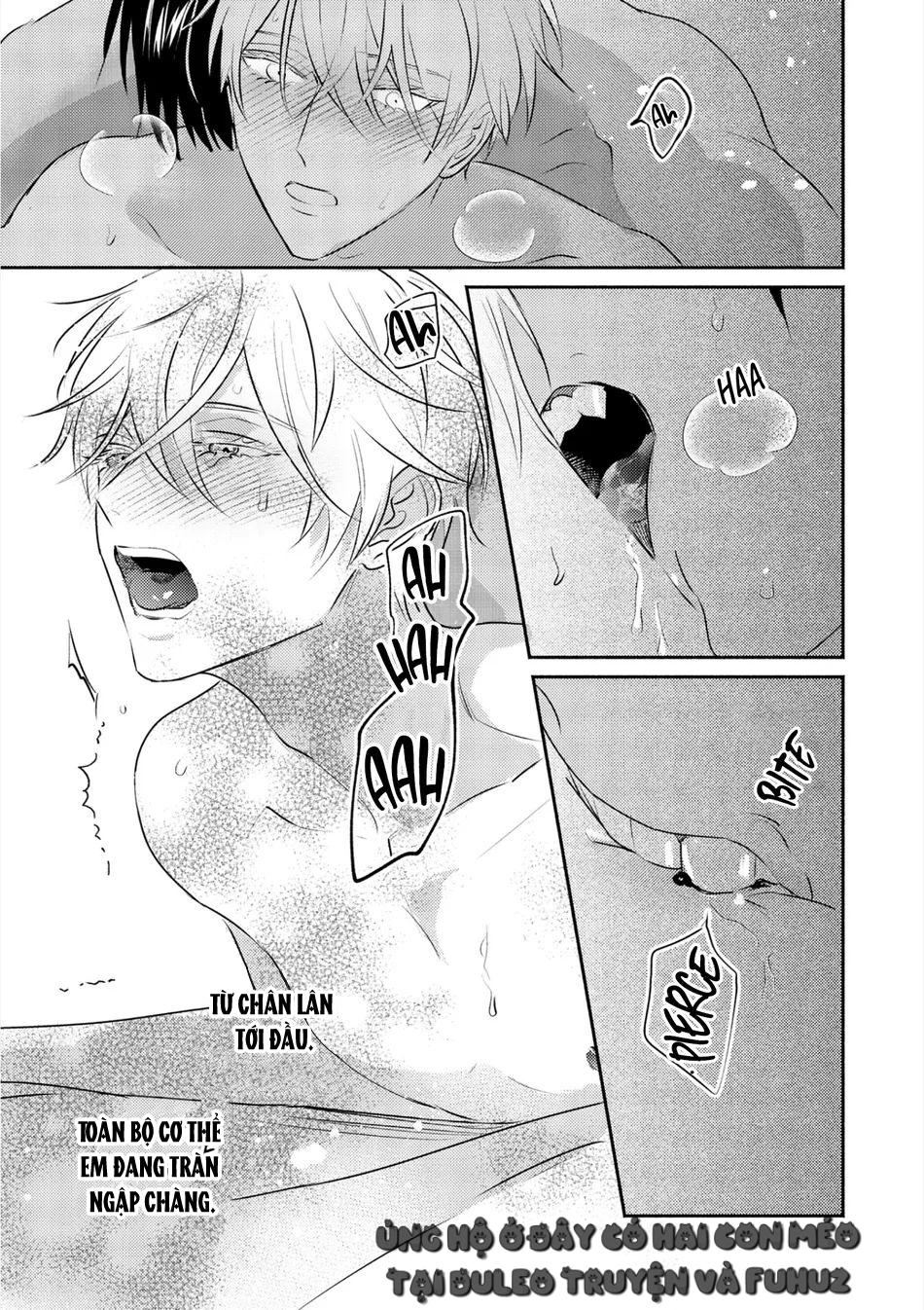 Đọc truyện Omega Của Hoàng Cung - Chapter 12