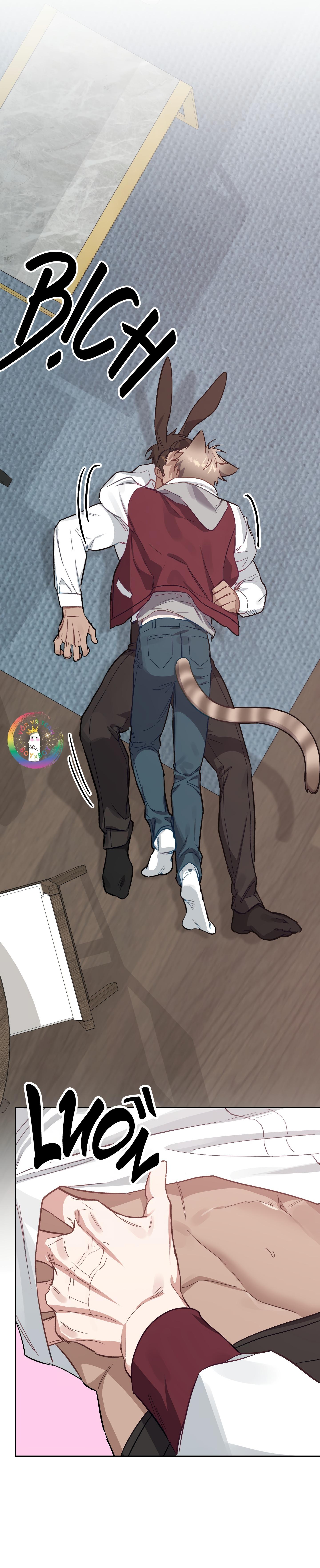 Đọc truyện (END) Thỏ Xuất Tinh Trong Vòng 3 Giây - Chapter 11