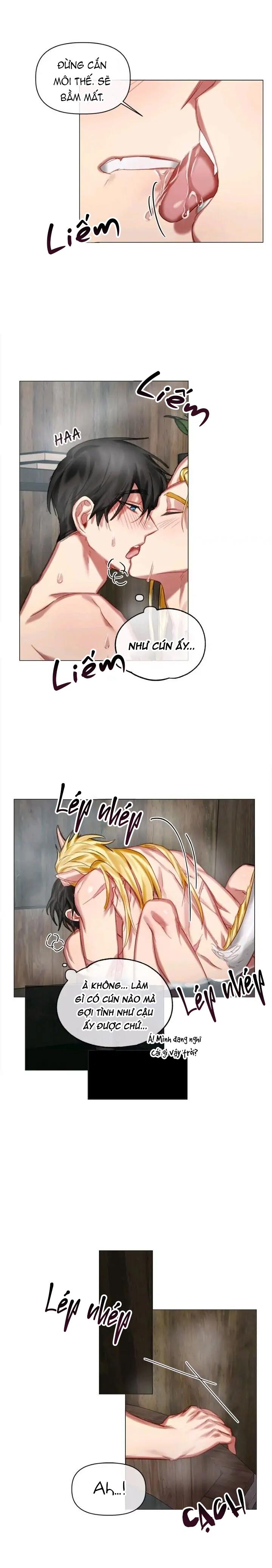 Đọc truyện [Hoàn] Chàng Hiệp Sĩ Và Rồng Vàng - Chapter 17