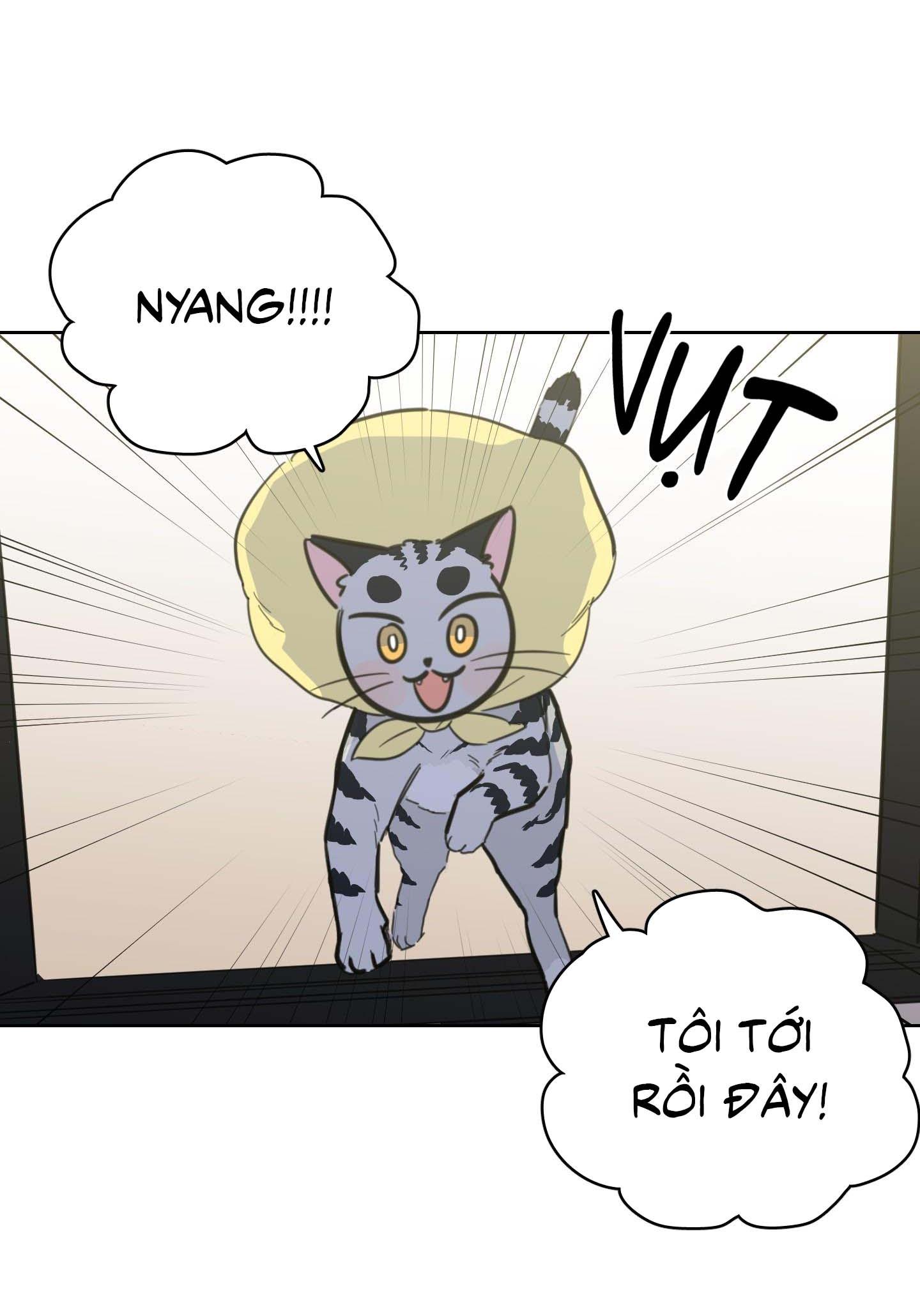 Đọc truyện Mẹo Thuần Hóa Hổ - Chapter 106