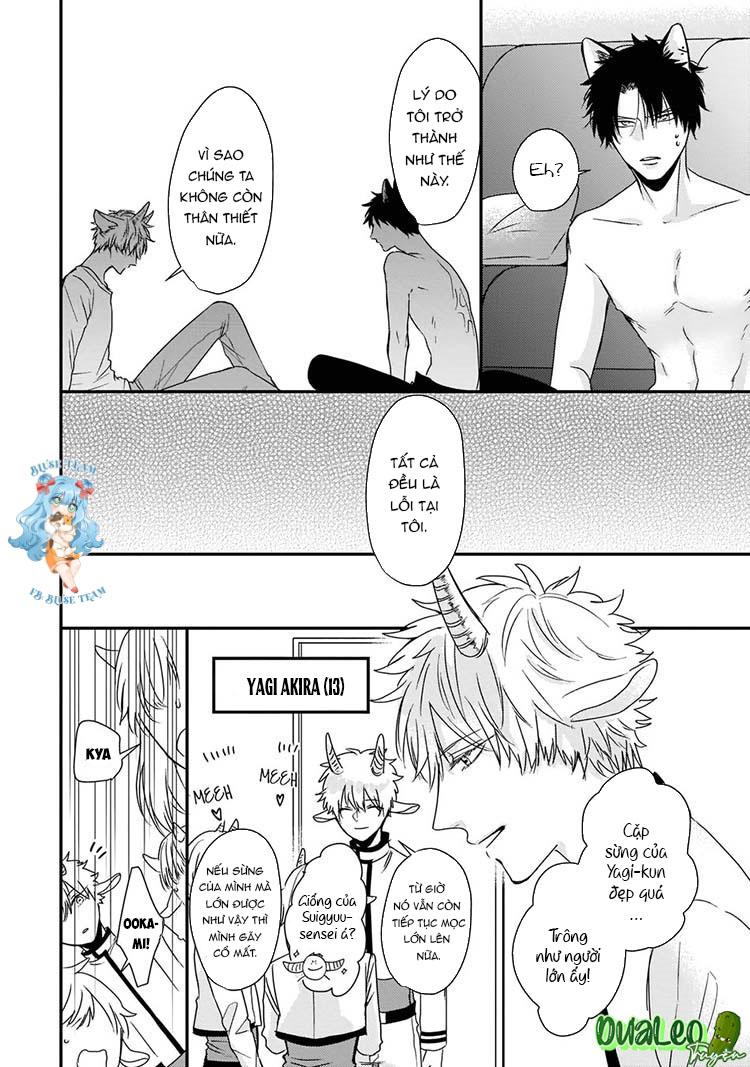 Đọc truyện Kỳ Phát Tình Của Dê và Sói - Chapter 4