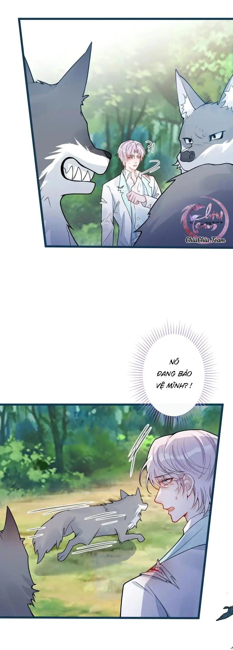 Đọc truyện Sói Báo Ơn (END) - Chapter 54