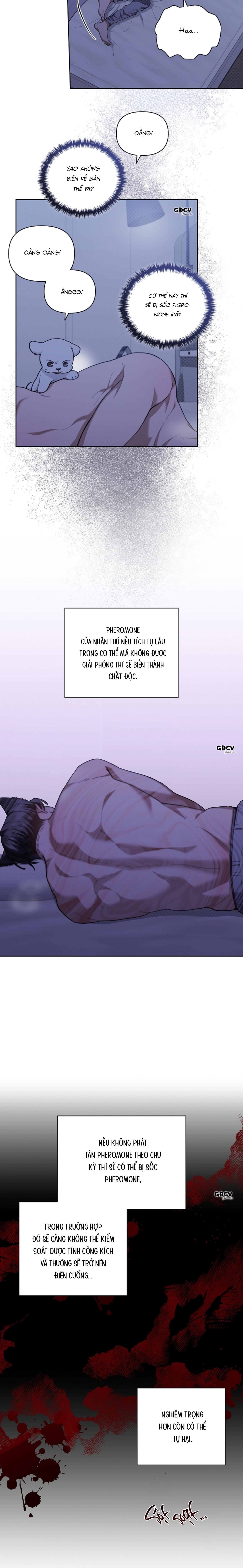 Đọc truyện ĐỪNG CHẠM VÀO CÚN CON CỦA TÔI - Chapter 12