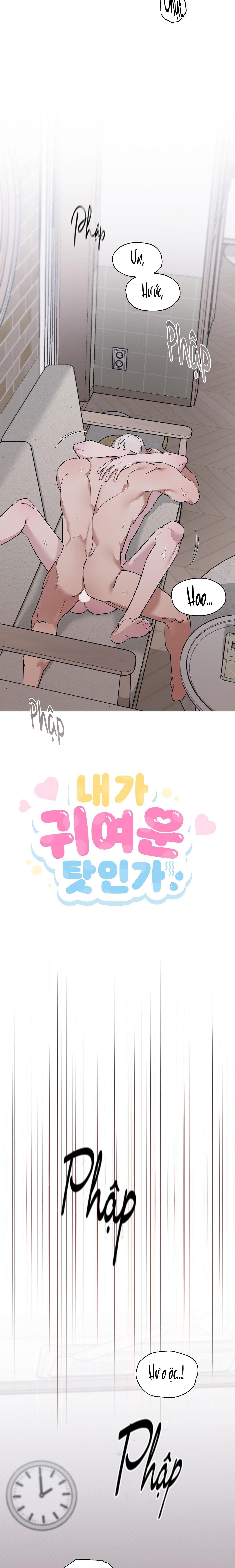 Đọc truyện LỖI TẠI DỄ THƯƠNG - Chapter 38