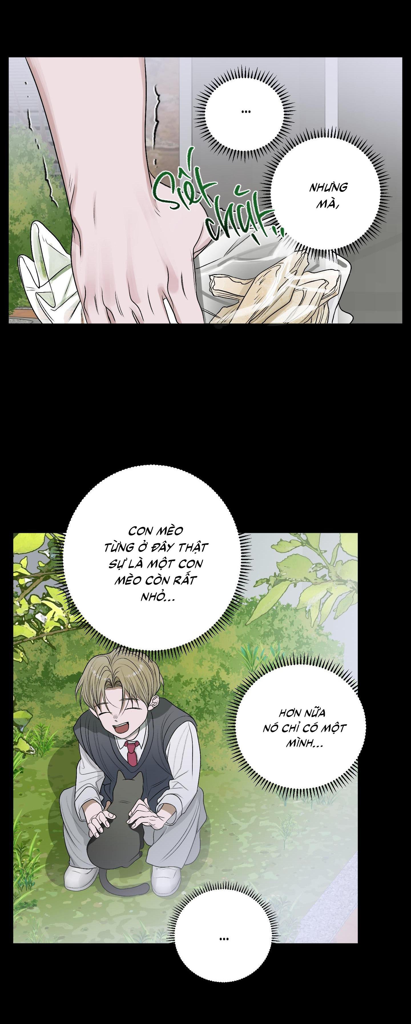 Đọc truyện  Đầm Sen Héo Úa - Chapter 26