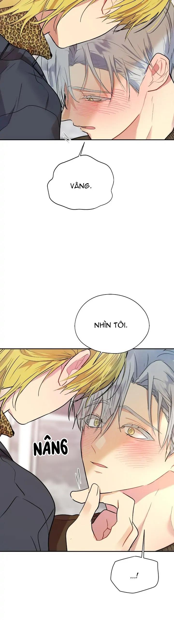 Đọc truyện (END) Nếu Như Cậu Bạn Hàng Xóm Là Vampire? - Chapter 65