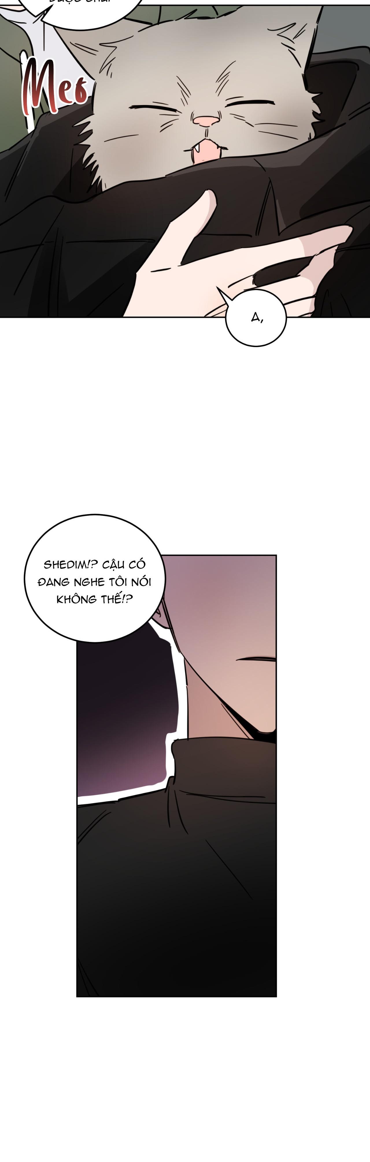 Đọc truyện Ác ma giữa ngã tư đường - Chapter 21