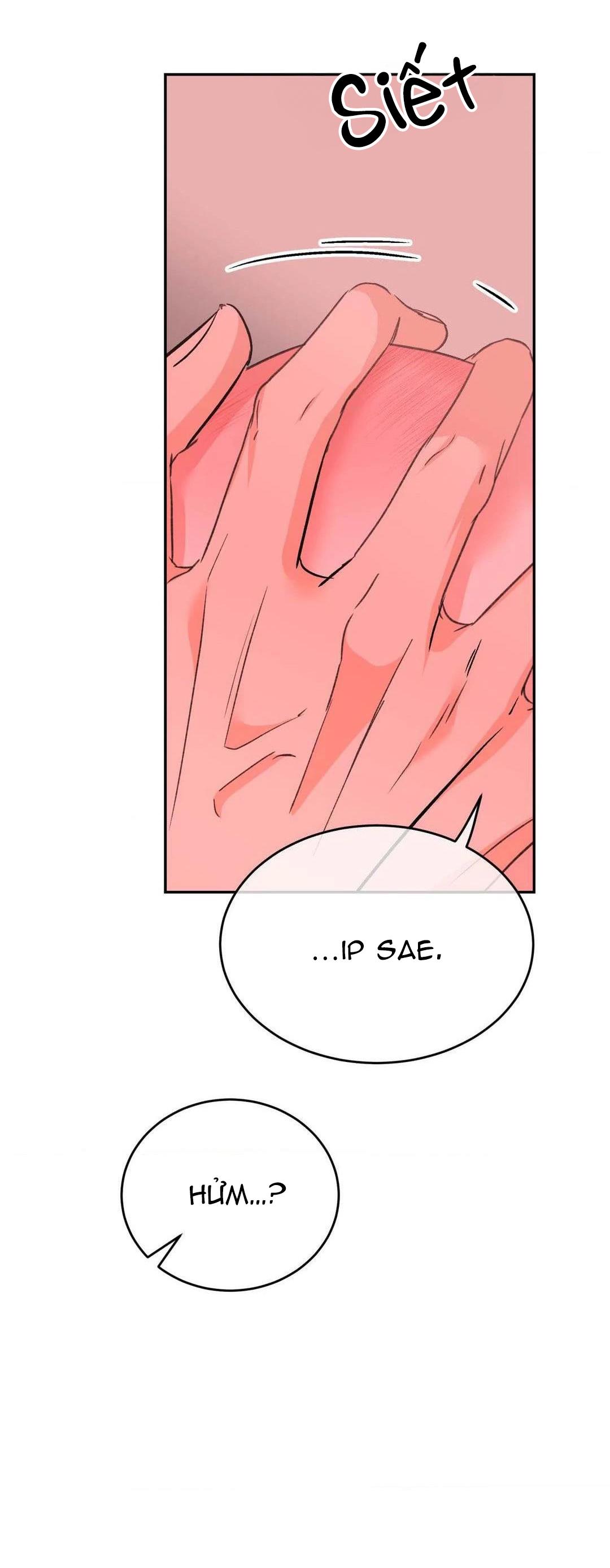 Đọc truyện Chiếc Lá Lay Động Theo Giai Điệu - Chapter 13