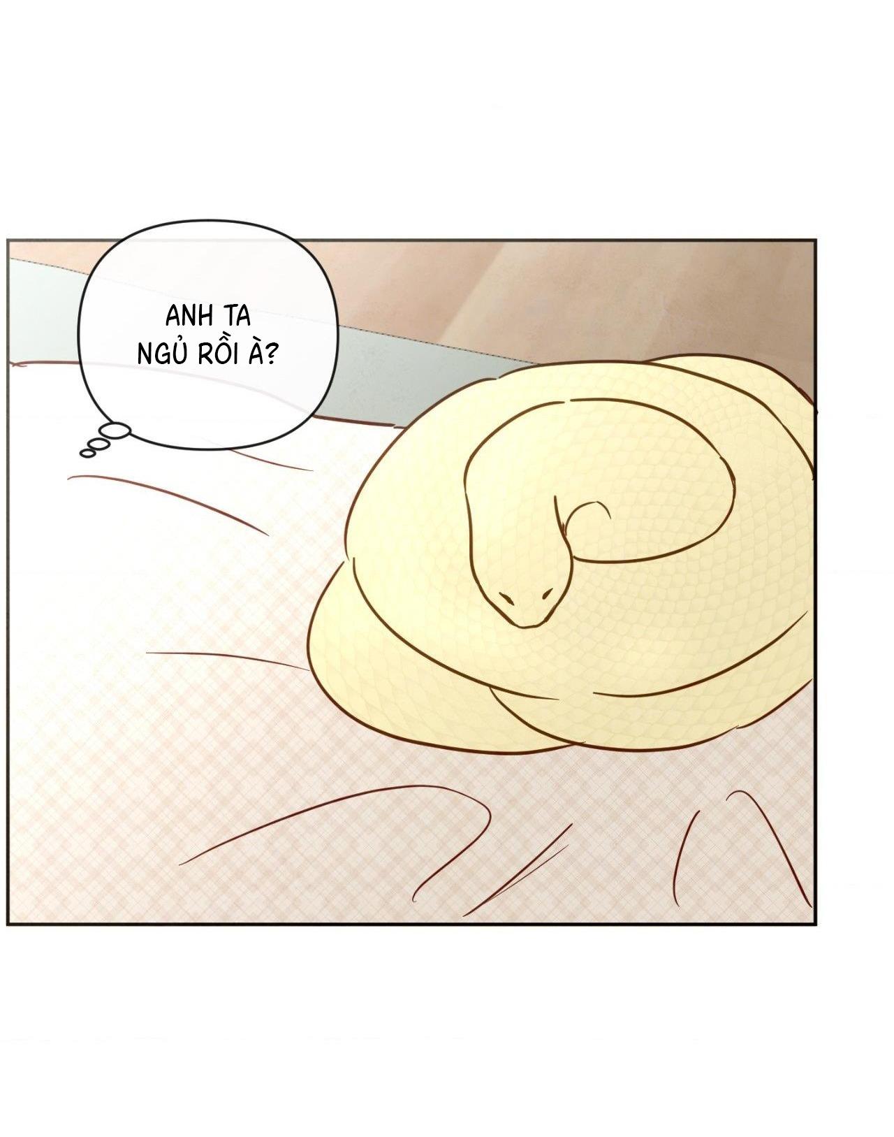 Đọc truyện Sự quyến rũ của Thần Rắn - Chapter 6