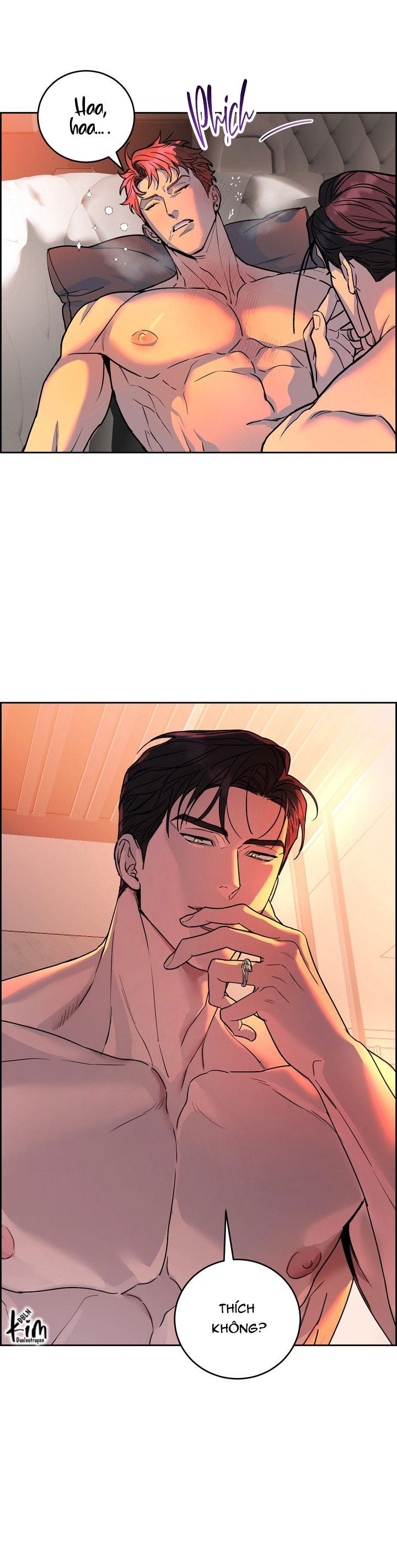 Đọc truyện CHÓ VÀ CHIM - Chapter 47