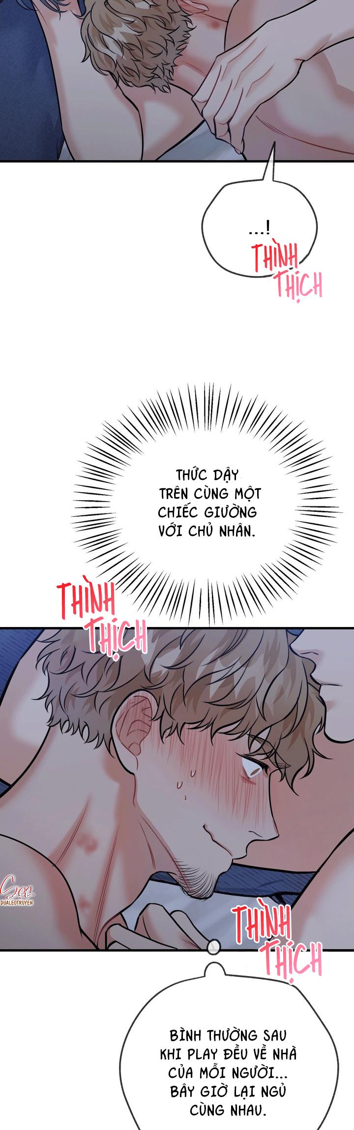 Đọc truyện HƯỚNG DẪN BDSM CƠ BẢN - Chapter 21